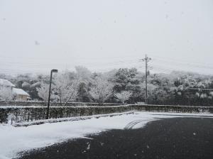 『雪景色②』の画像