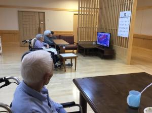 『あさがお　台風』の画像