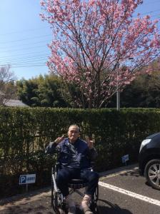 『ききょう』の画像