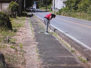 『除草作業2』の画像