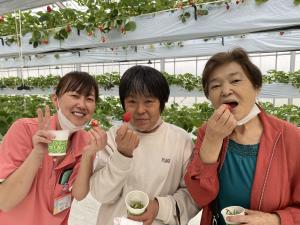 『いちご狩り①』の画像