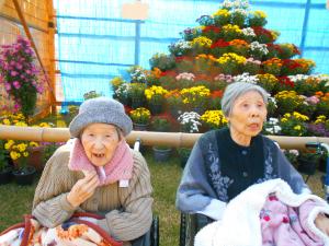 『2024.11.11⑥』の画像