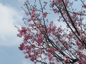 『2025.3.271』の画像
