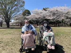 『たんぽぽ花見1』の画像