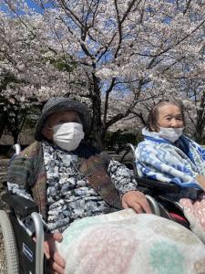 『たんぽぽ2』の画像