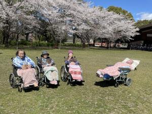 『たんぽぽ3』の画像