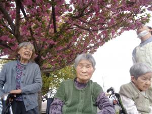 『2025.4.30⑩』の画像