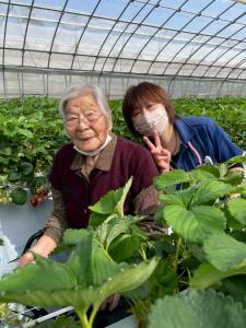 『いちご狩り④』の画像
