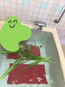 『菖蒲湯③』の画像