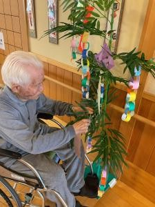 『ききょう』の画像