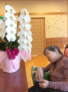 『なでしこ　2025.6.23①』の画像