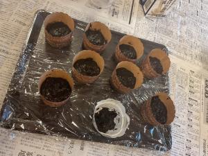 『オレオ17』の画像