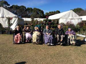 『柚子菊』の画像