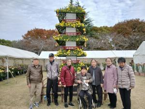『菊祭り①』の画像
