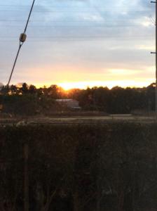 『あじ1』の画像