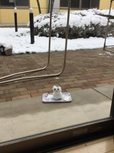 『あじ⑦』の画像