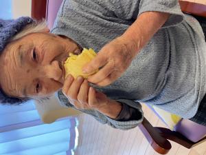 『ききょう4』の画像