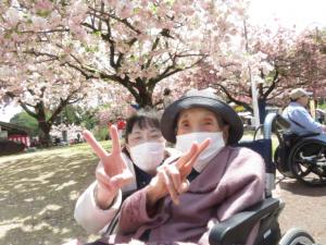 『ききょう4』の画像