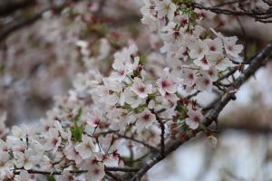 『202604総務課②』の画像