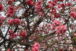 『202604総務課③』の画像