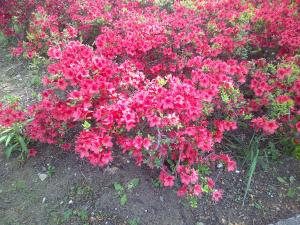 『2026.4.13⑥』の画像