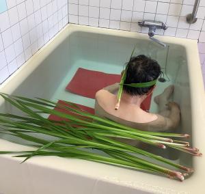 『菖蒲湯1』の画像
