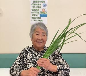 『菖蒲湯2』の画像