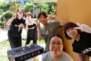 『BBQ2』の画像