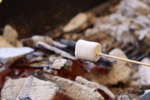 『BBQ4』の画像