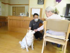 『らんちゃん散歩』の画像
