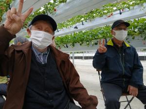 『いちご③』の画像