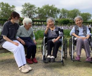『あやめ見学③』の画像