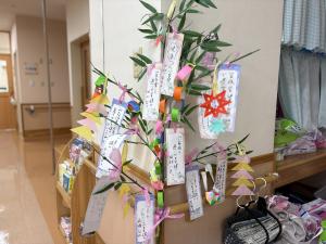 『七夕５』の画像