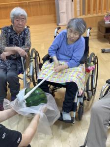 『こすもす　すいか３』の画像